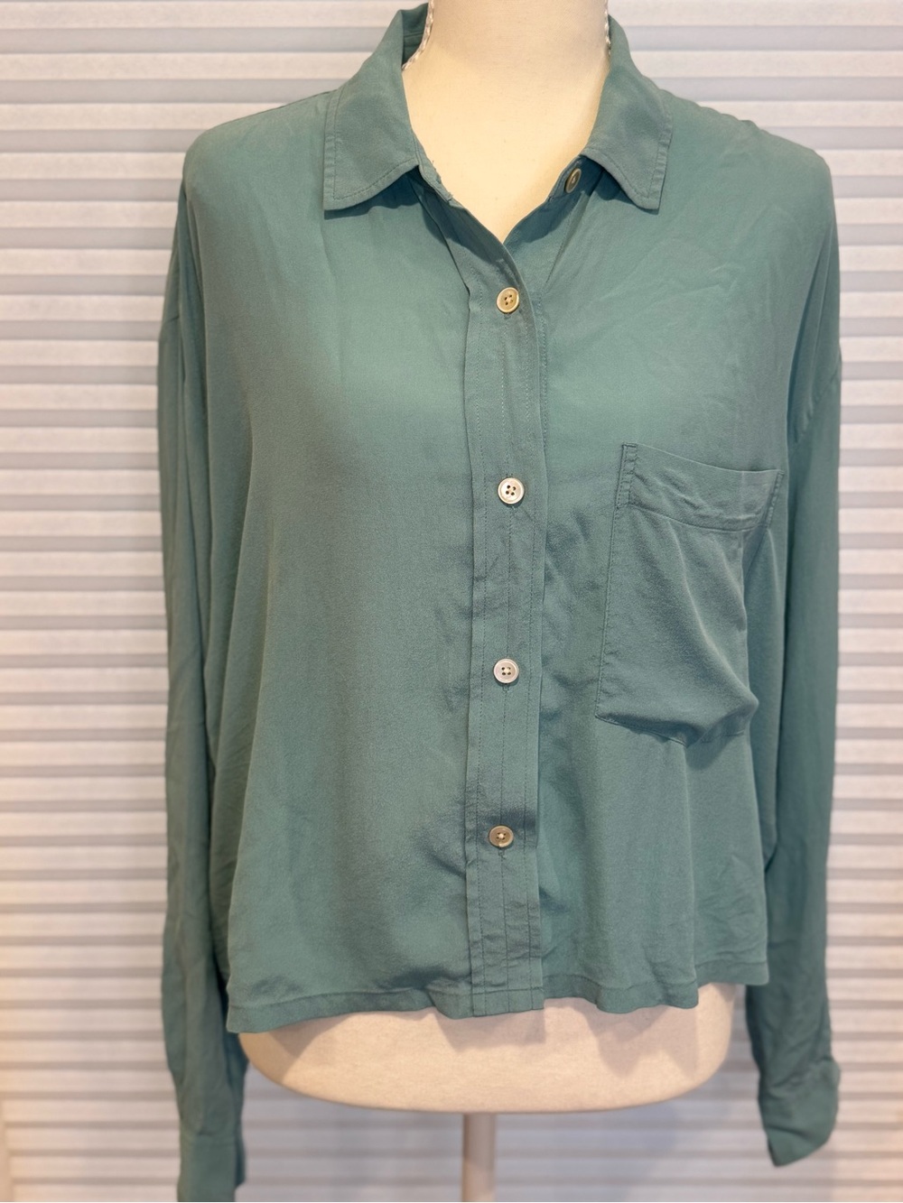 Everlane Silk Light Blue Relaxed Button-Down Shirt 1320